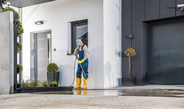 Animal Enclosure Cleaning in Loveland Park, OH